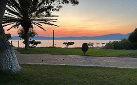 Bouros Seaview Farm